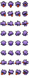 Shellder